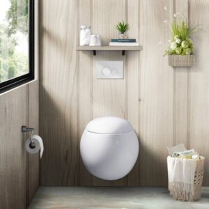 wall mounted toilet bowl