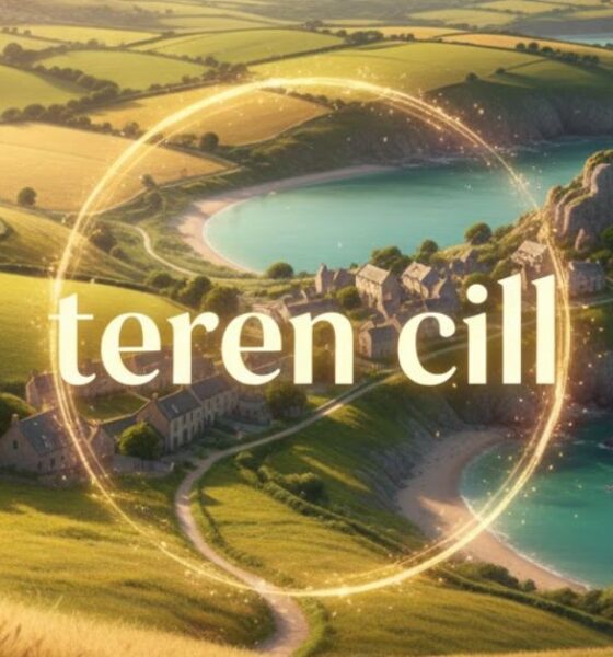 teren cill