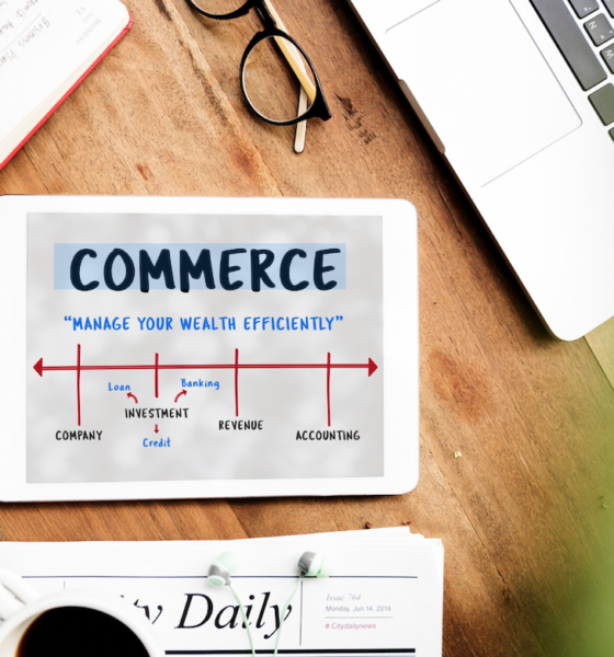 Launch a Profitable Ecommerce Business in 2026