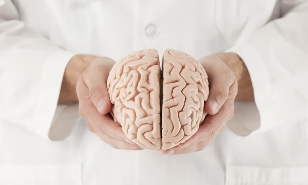 Healthy Lifestyle for Better Memory and Focus: Complete Brain Health Guide