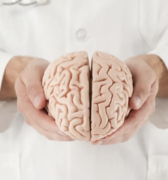 Healthy Lifestyle for Better Memory and Focus: Complete Brain Health Guide