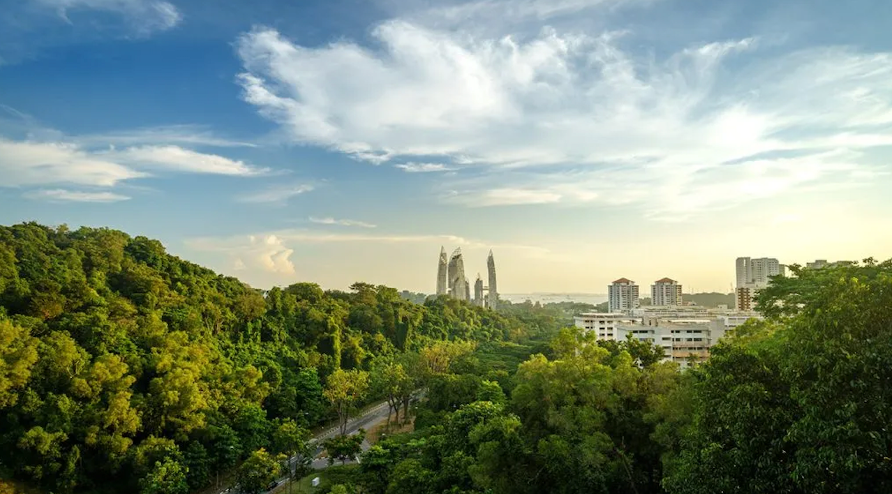 Singapore's Green Finance and Sustainable Bonds Market 