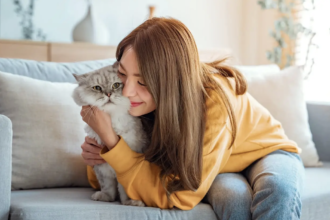 Keeping Pets in Singapore: A Guide to Licensing, Housing Rules and Responsible Care